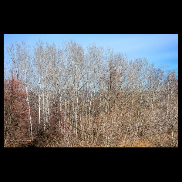 PHOTO84, CLUB, 84 , LUBERON